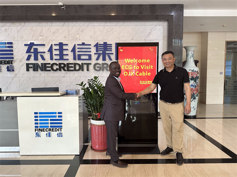 China Kabelfabrik, Hersteller von Kabeln für Strom, Konstellation