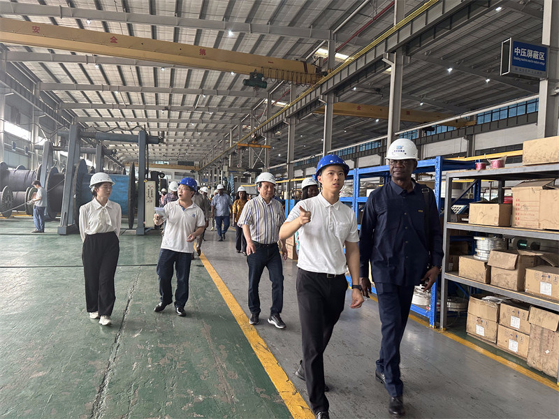 China Kabelfabrik, Hersteller von Kabeln für Strom, Konstellation