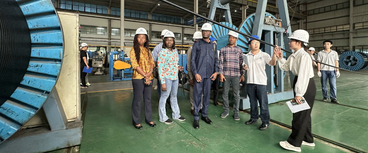 China am besten Elektrischer Seilzug en ventes