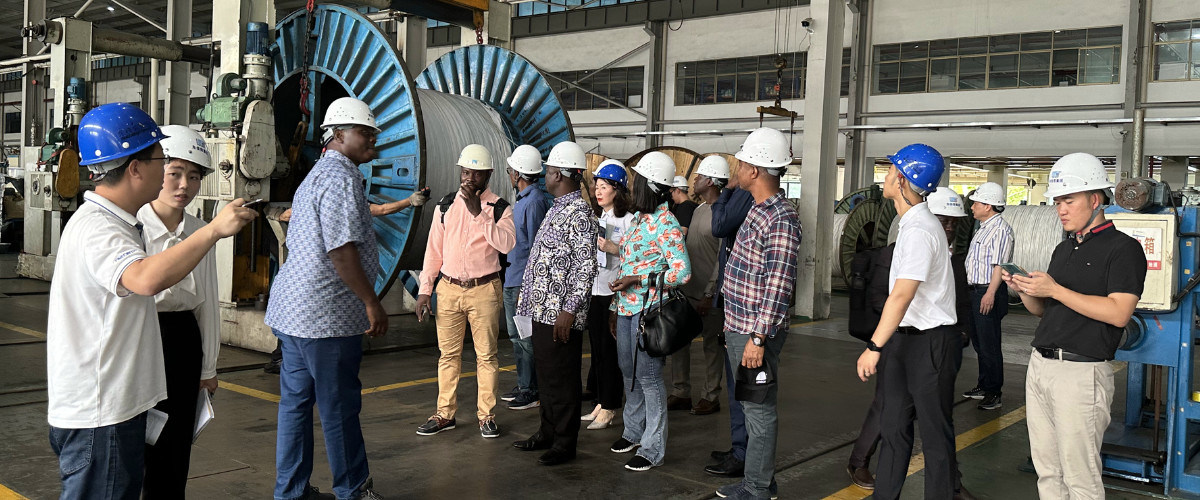 China am besten Obenliegende Stromkabel en ventes